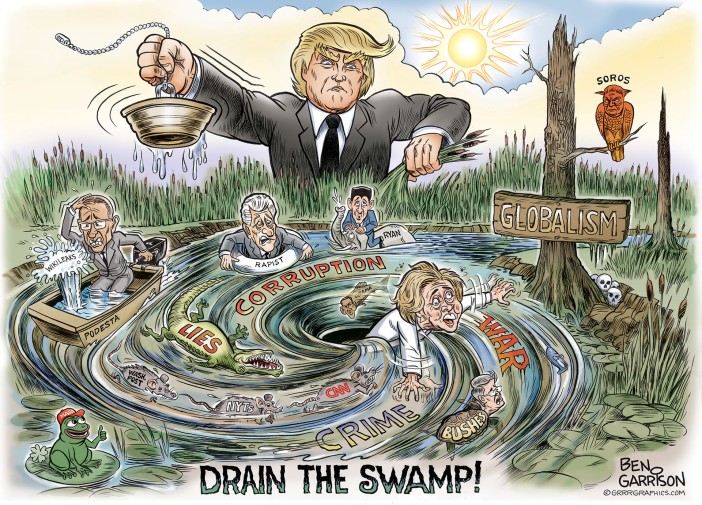 drain swamp 1
