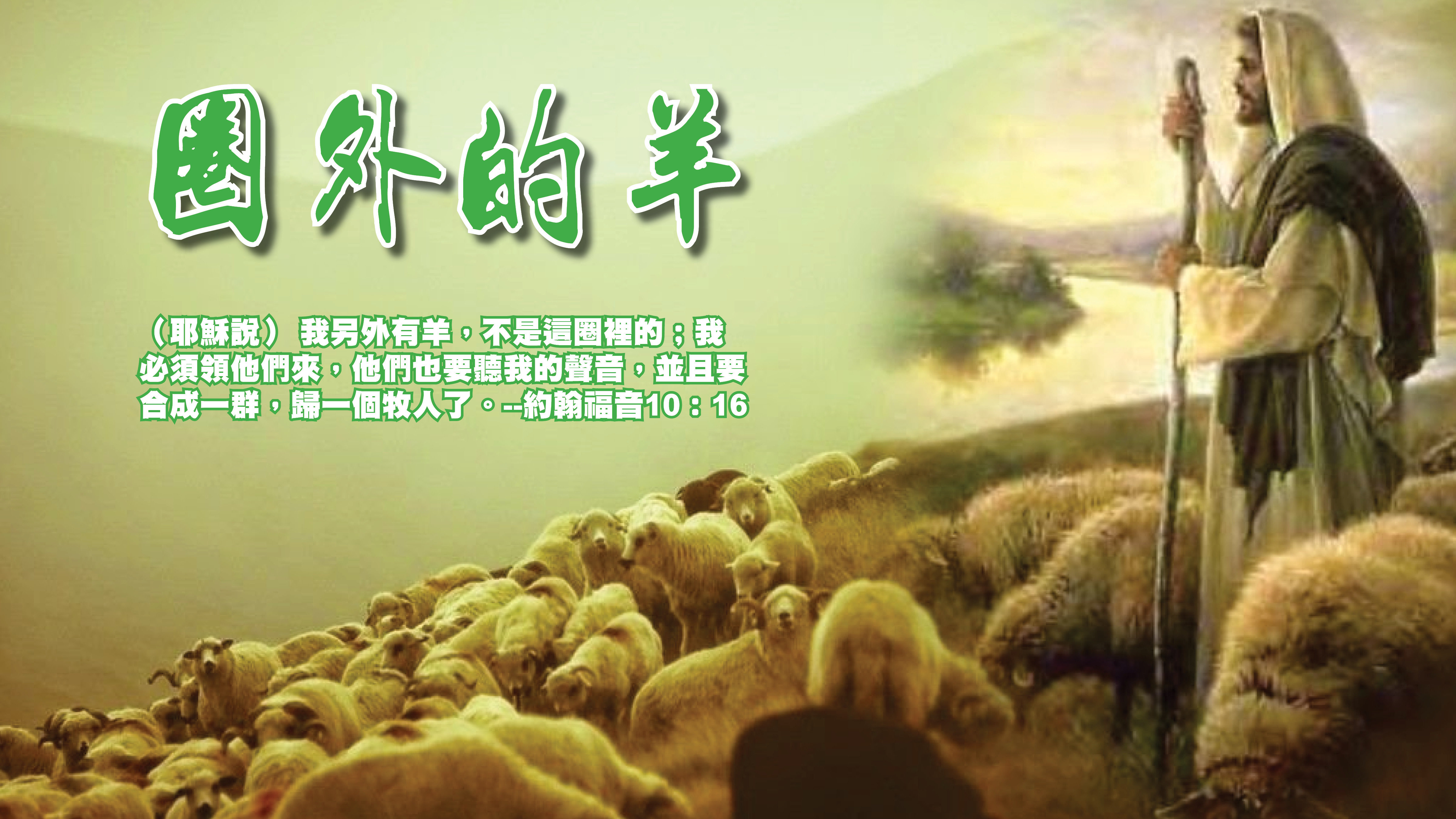 Sheep of Another Pen Cover.jpg